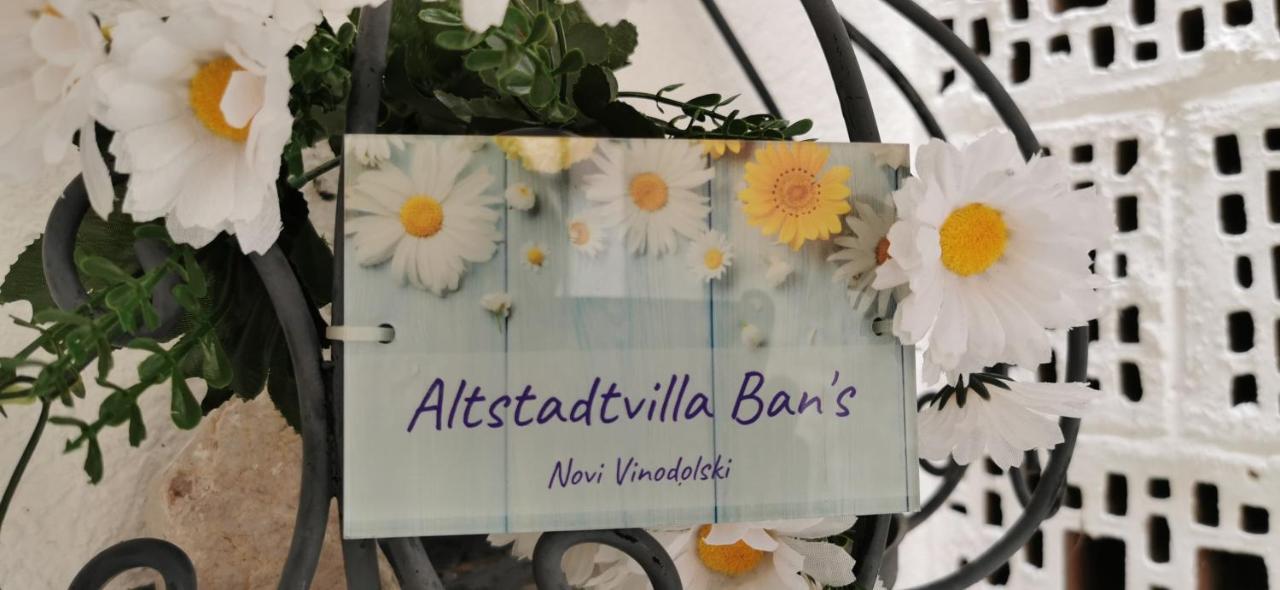 Altstadtvilla BAN's Novi Vinodolski Exteriör bild